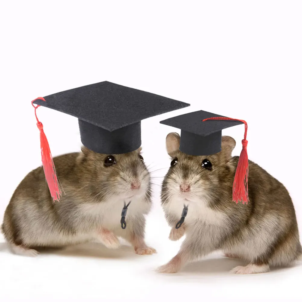 

2pcs Black Pet Doctor Hat Mini Graduation Caps with Tassel Small Animal Decorative Hats for Photo Props Guinea Pig Hamster