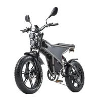 RANDRIDE electric bicycle adult 20 * 4.0-inch off-road ebike dual drive with 2*1000W motor and 48V 20Ah battery 7-speed snow