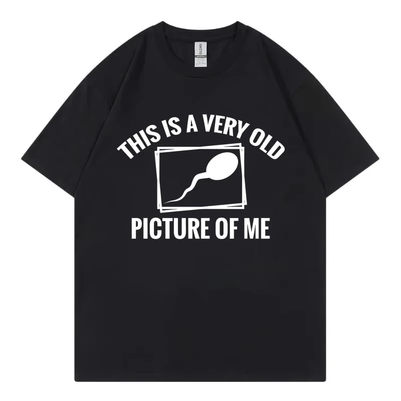This Is A Very Old Picture of Me Funny Meme T-shirts Fashion Casual Oversized T Shirt Men Women 100%cotton Short Sleeve T-shirt