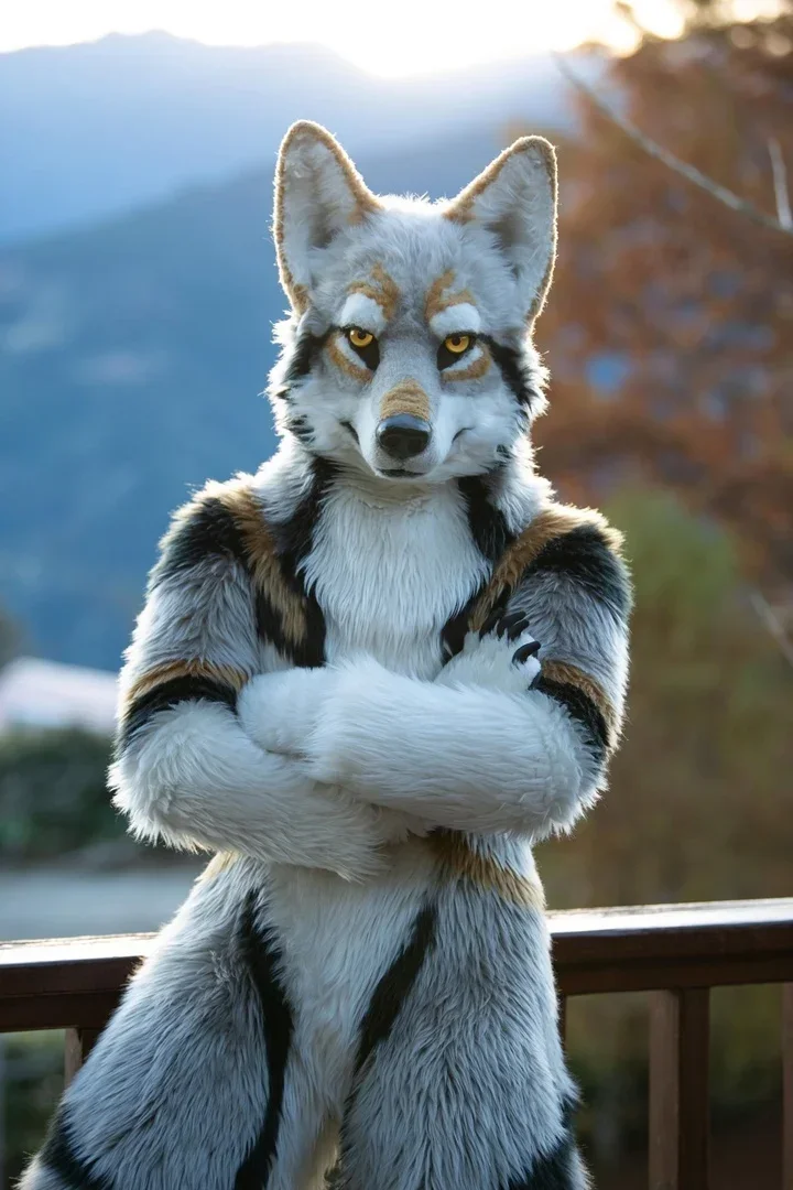 طويل الفراء فروي زي أجش الكلب الثعلب زي التميمة Fursuit الذئب تأثيري حفلة Fursuit هالوين البدلة تأثيري الكبار الحجم