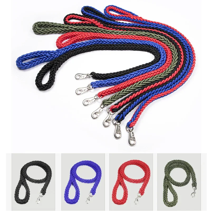 Thumbnail 4 - #29 Dog Leads Ranking List in 2026