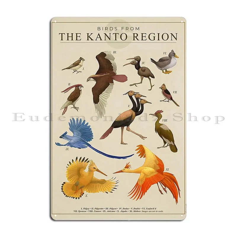 Birds Of Kanto Metal Signs Wall Plaque Cinema Personalized Bar Cave Garage Club Tin Sign Poster