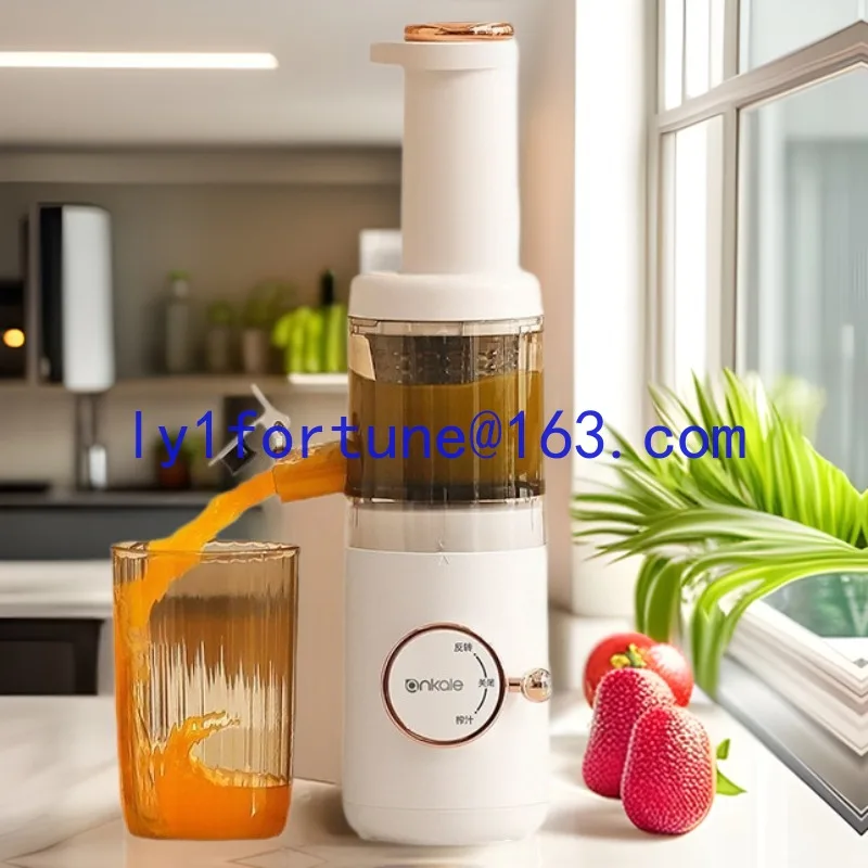 

Household automatic juicer, small multi-functional slow fruit and vegetable machine for juice residue separation