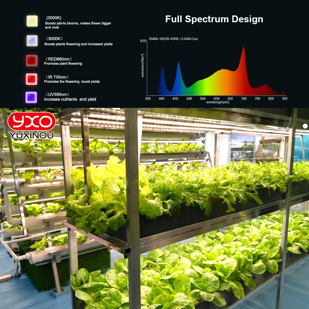 Full Spectrum LED Grow Light Samsung LM301H EVO+High Brightness Growing Lamps Sunlike For Greenhouse Plant Growth Lighting