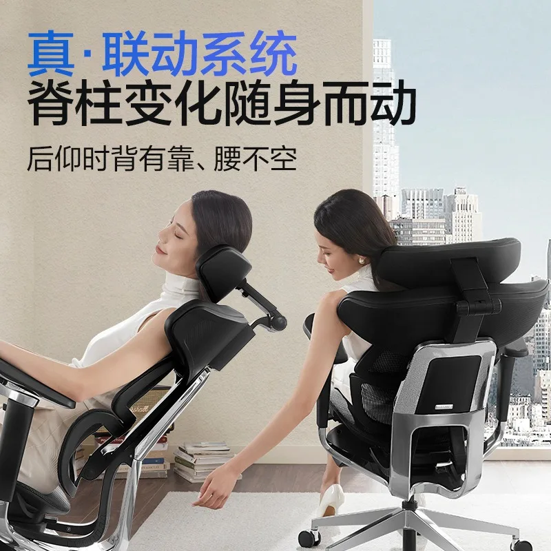 Ergonomic chair, e-sports chair, office chair