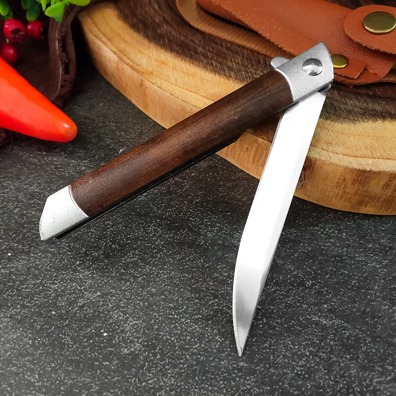 Folding Knives Fish Fillet Slicing Meat Fruit Paring Boning Knife Kitchen Knives Hand Forge Plastic Handle Utility Folding Knife