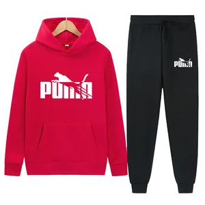 Casual Sweatshirt und Wollhosen für Frauen, Sweatshirt und Sweatshirt mit 2 Teilen, Pullover -Kleidung, Herbst, Winter, neue Mode 10 Hauptverkäufe China Malhar Kleidung - №8