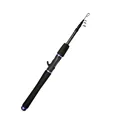 Casting Rod