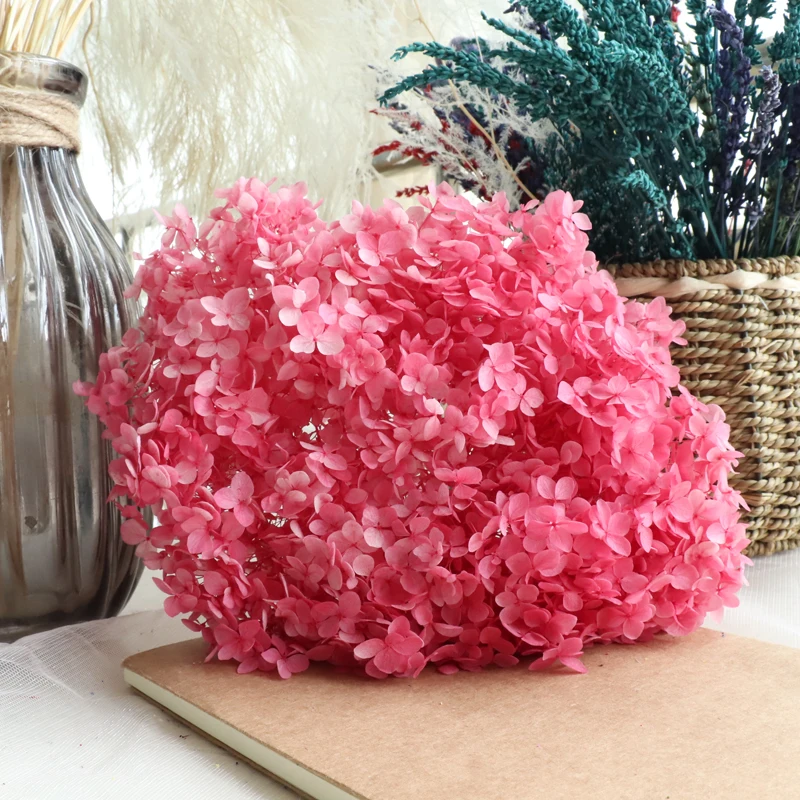 18-20CM Big Flower Head Multi-Color Diy Preserved Hydrangea 30-45g Real Natural Eternal Decoration Handmade Flowers Material