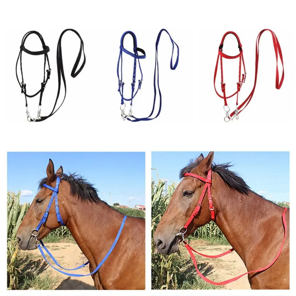 

Thickened Horse Halters Comfortable Adjustable Strap Horse Neck Stretcher Horse Harness Heavy Duty Horse Bridle Headband