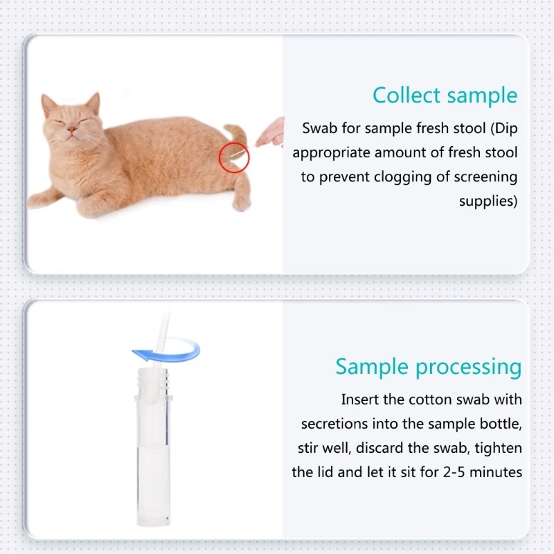 Dog Distemper Parvovirus Detection Strip Accurate Testing for Pet CDV CPV FHV CCV Test Strip Test Paper