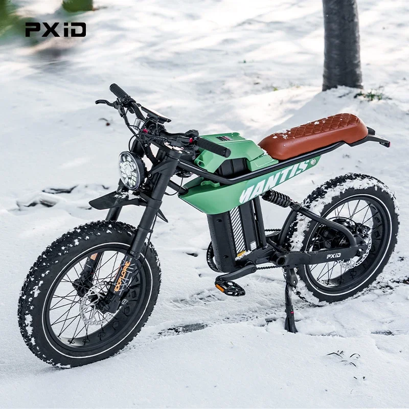 PXID P6 20 inch best fatbike 750w 1200w electric dirt Motorcycle full suspension e bicycle mtb