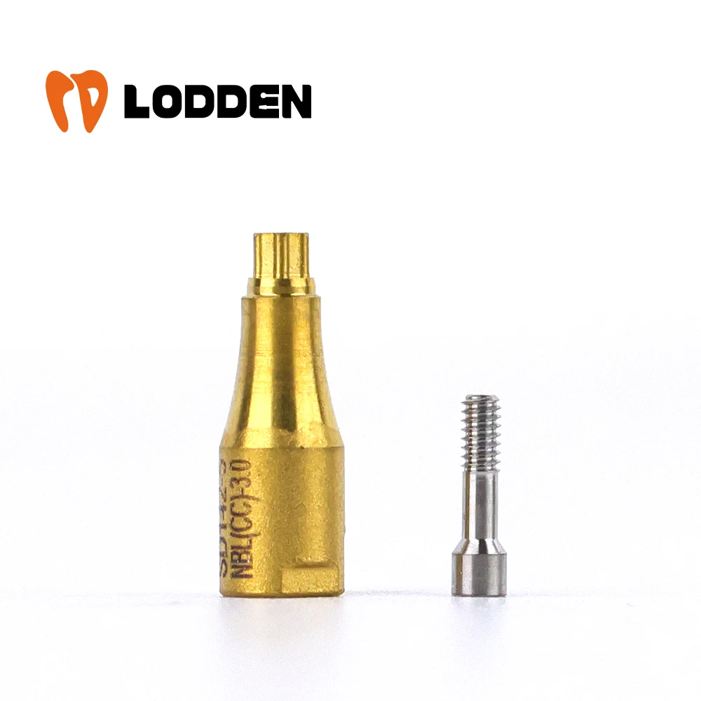 LODDEN Dental Scan Body Implant Abutment CAD CAM 10mm Custom Titanium Blank Megagen Osstem Zimmer Dentis MIS Korean Department