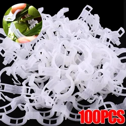 Plant Clips Supports Reusable Plastic Connects Fixing Vine Tomato Stem Grafting Vegetable Plants Orchard and Home Garden Tools