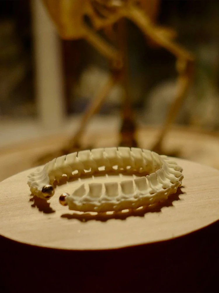 الاحتفال مأدبة ثعبان العمود الفقري الأذن العظام كليب الشرير سبائك النحاس شعبية المجوهرات هدية للرجال والنساء #6