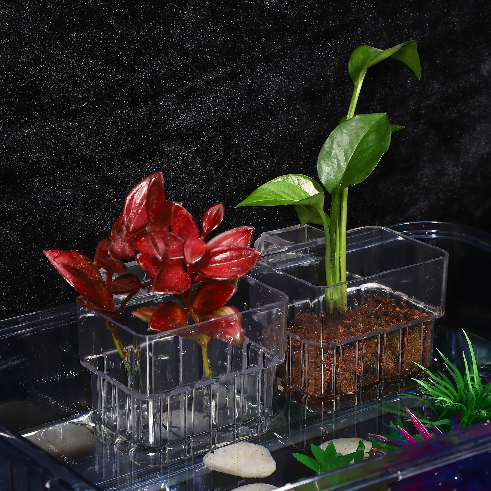 

4pcs Aquarium Plant Holder Transparent Fish Tank Mount Plant Cup Hanging Aquatic Planter Box For Live Plants Aquarium