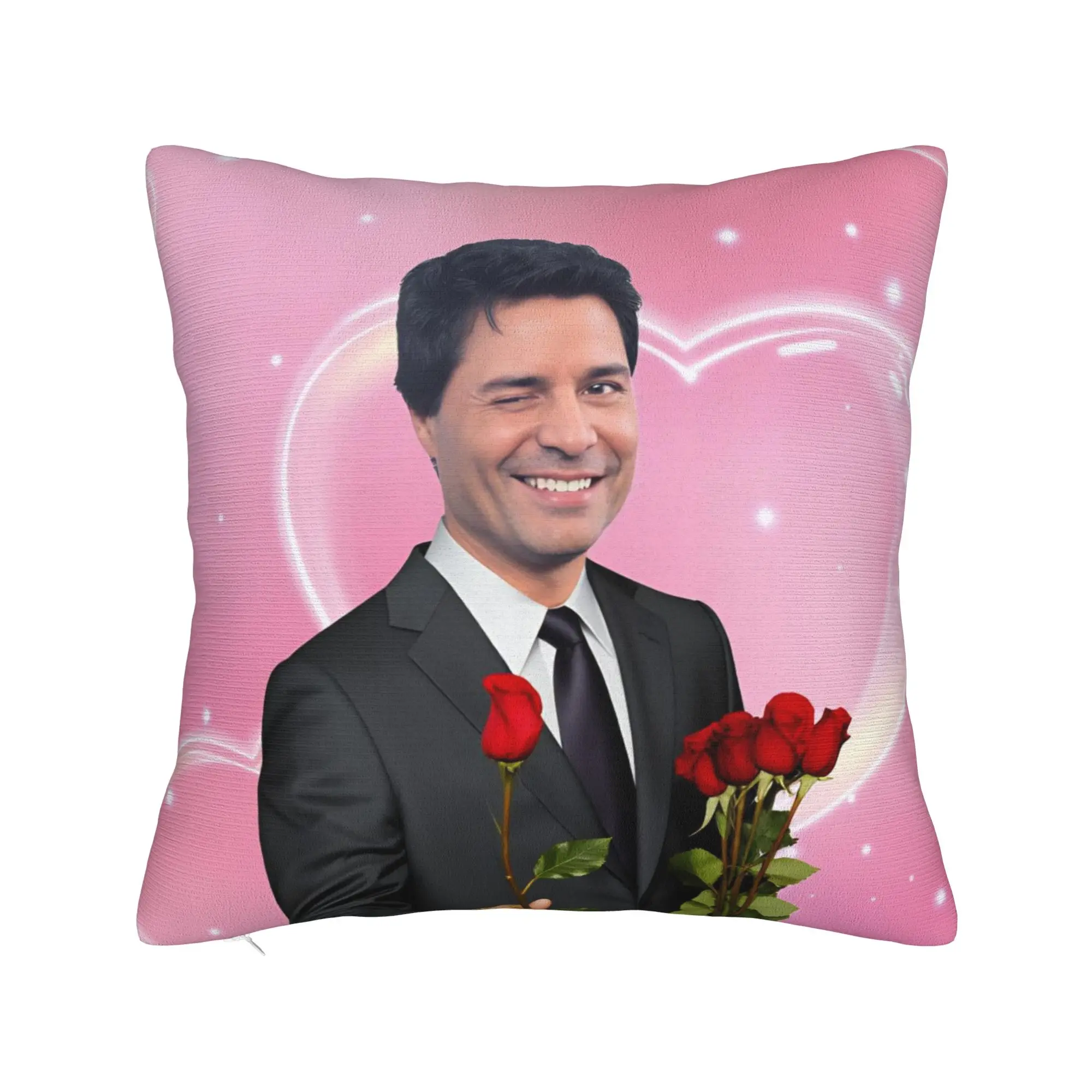 Chayanne Meme Pillow Cover  Design Cushion Cover Funny Pillow Case For Sofa Couch Bed Living Room