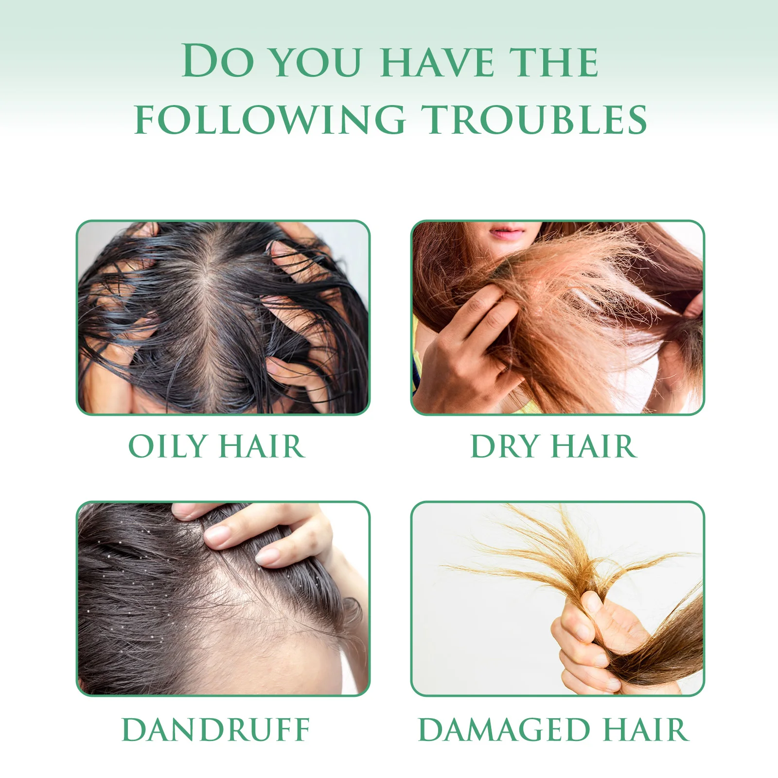 قالب شامبو مرطب للحليب - تنظيف ومغذي لطيف، يتحكم في الزيت للشعر الناعم اللامع، جميع أنواع الشعر