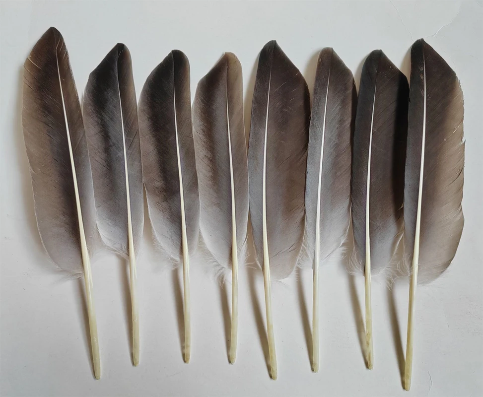 Feathers decoration! Veren! 100Pcs/lot! 22-28cm long Natural Goose Quill feathers,Loose Quality Goose Wing Feathers