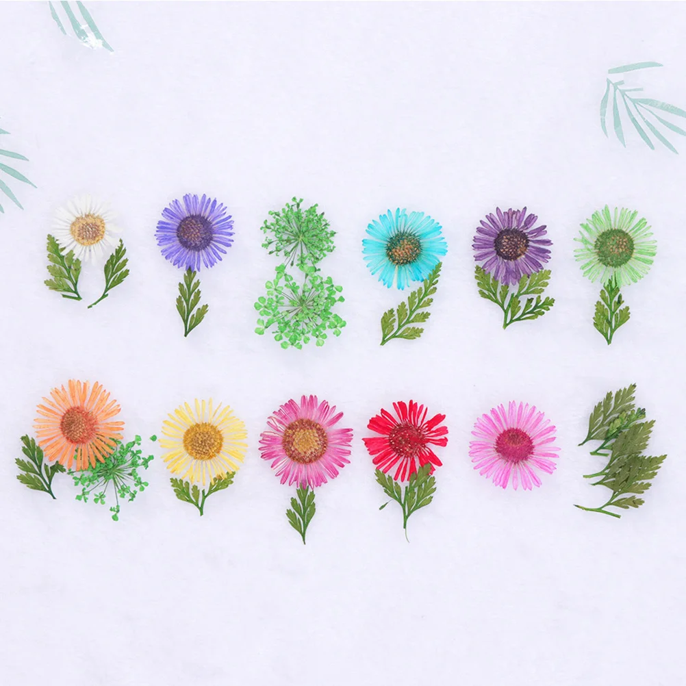 Chrysant Gedroogde Bloemen Set voor Nagels 3D Natuurlijke Bloemen Versieringen Uv Gel Acryl Nail Art Decoraties Kit Thuis Salon