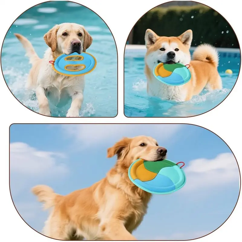 2025 Trend Floating Flying Disc 2Pcs Dog Set- Interactive Pet Game Supplies For Small, Medium For Aggressive Chewers 2 Style