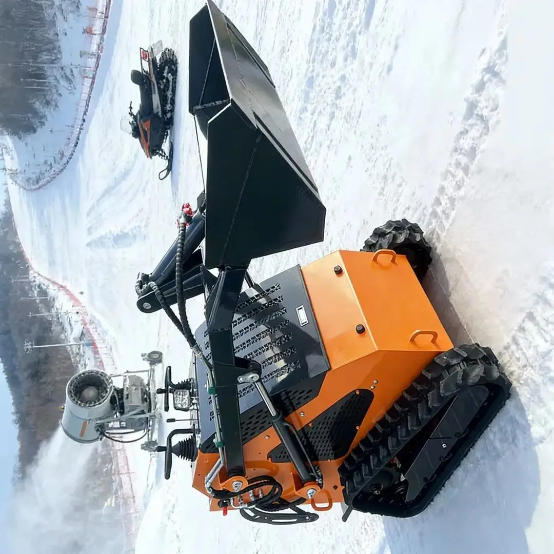 カスタマイズ可能なコストパフォーマンスに優れたスキッドステアローダー：最高品質のパフォーマンスを手頃な価格で