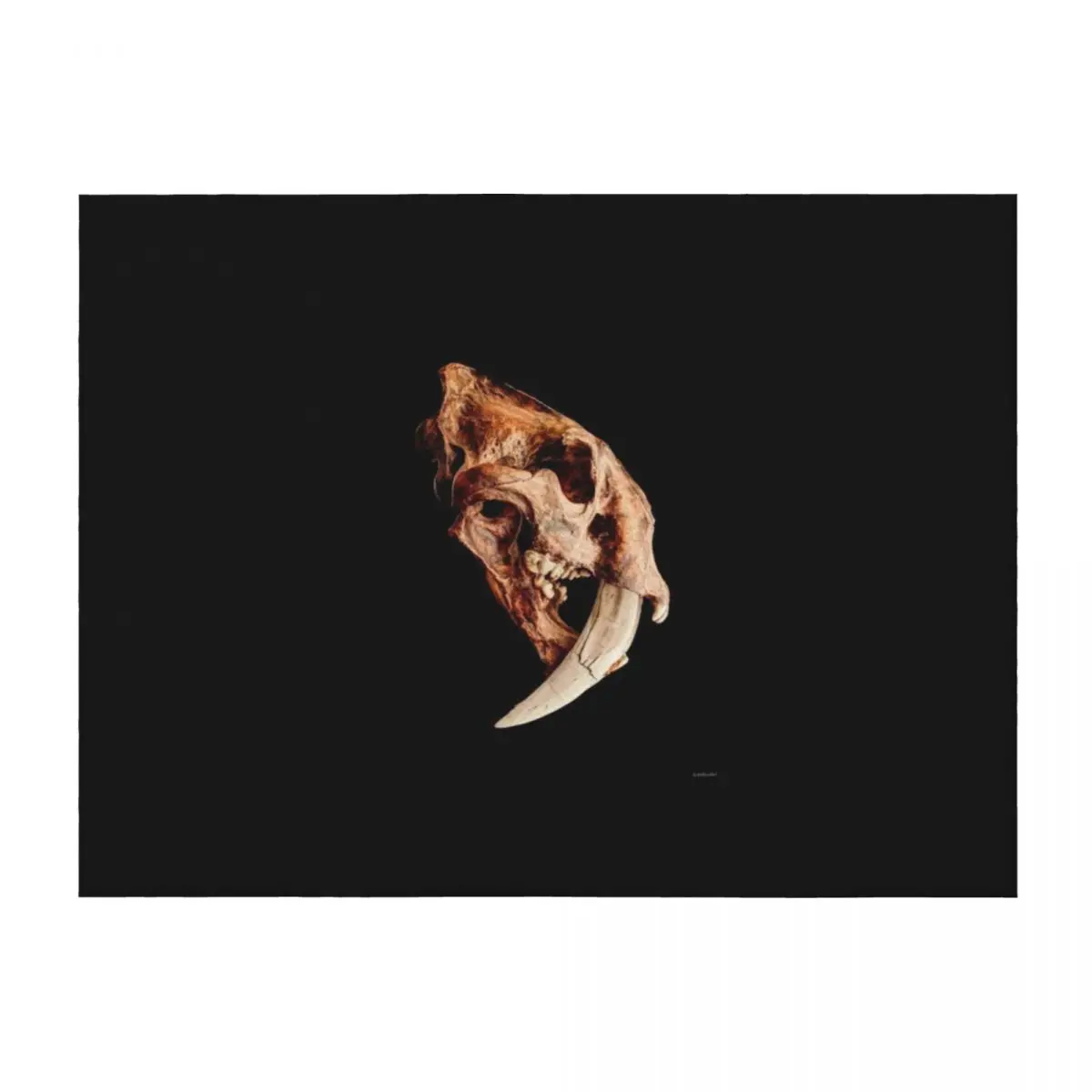 

Smilodon fatalis Skull 1 Throw Blanket Softest Soft Plaid Luxury Throw Soft Blankets