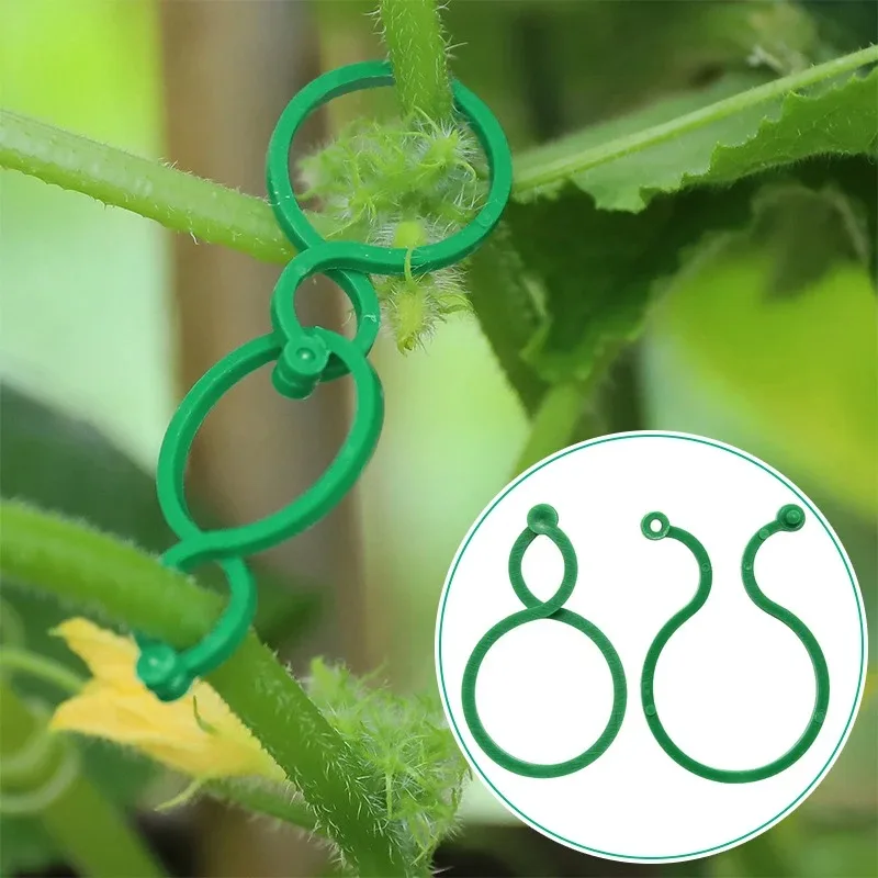 20/50/100Pcs Plastic Garden Vine Strapping Clips Tie Plant Bundled Buckle Ring Garden Tomato Grapevine Hook Plants Support Tool