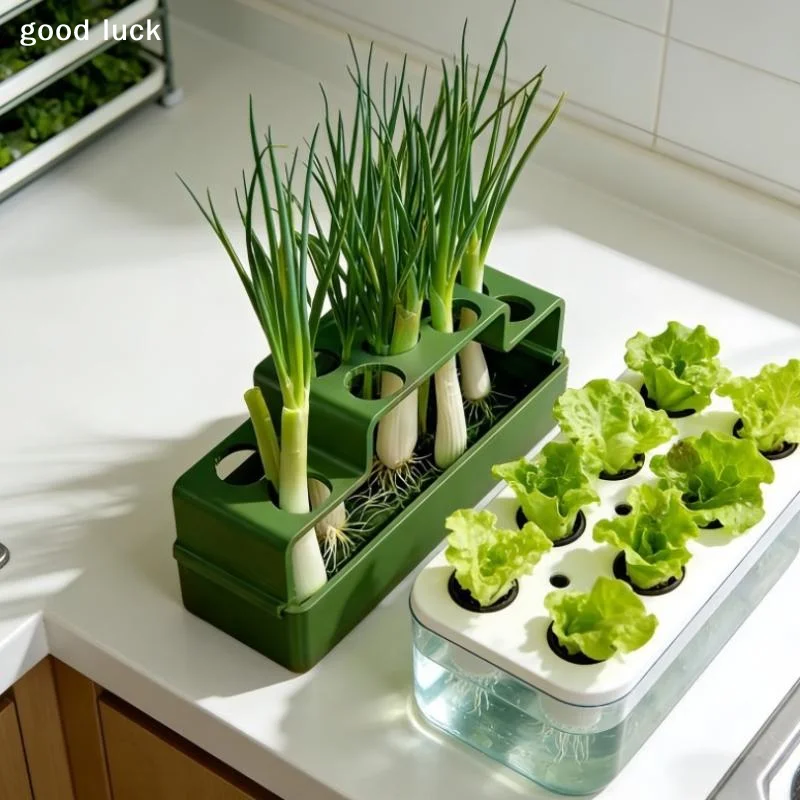 Alat Penanaman Khusus untuk Ba - Hydroponic System ulasan dan harga
