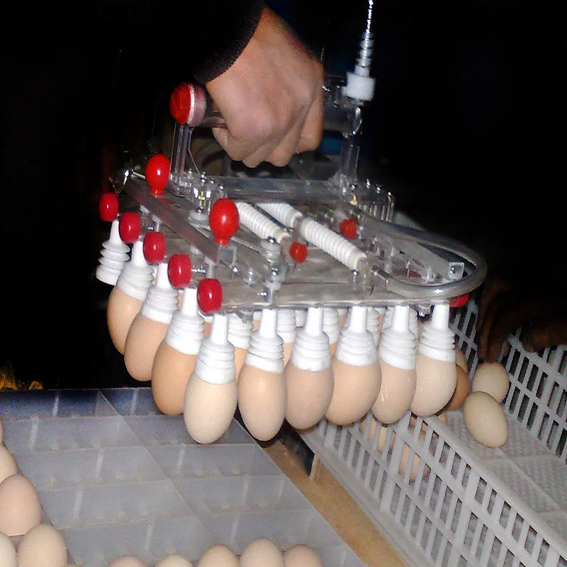 V30A  V30B V20A V18A - Egg Lifter with Vacuum Sucker and Code Dispenser Feeder for Chicken Farms