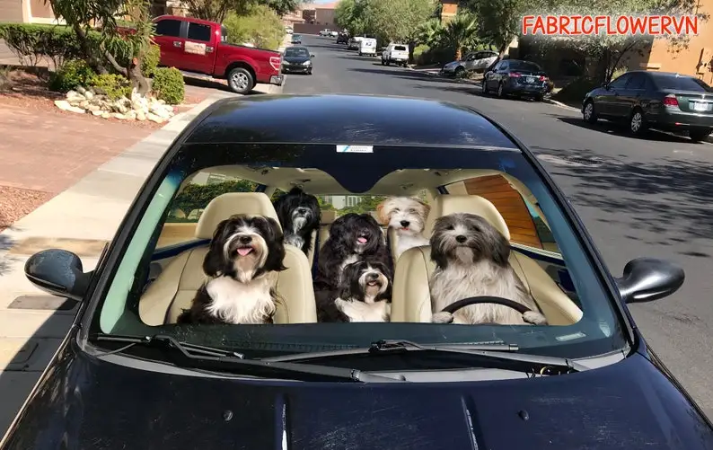 Tibetan Terrier Car Sunshade, Tibetan Terrier Car Decoration, Dog Windshield, Dog Lovers Gift, Dog Car Sunshade, Gift For Mom, G