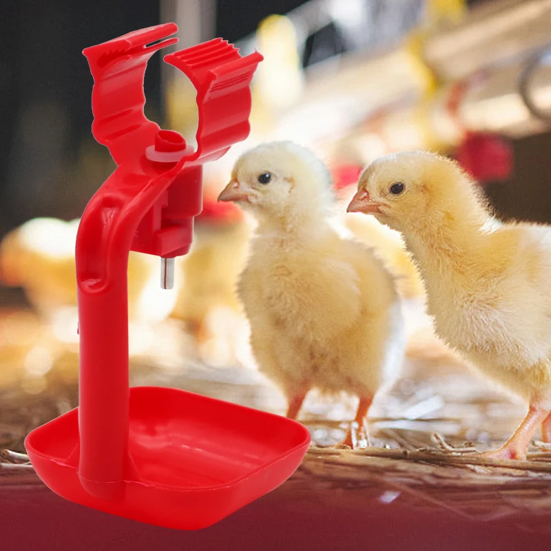 5/20/30 Pcs Chicken Automatic Drinking Cup Pigeon Waterer Plastic Red Nipple Hanging Cup Waterer Aviary Poultry Drinking Tool