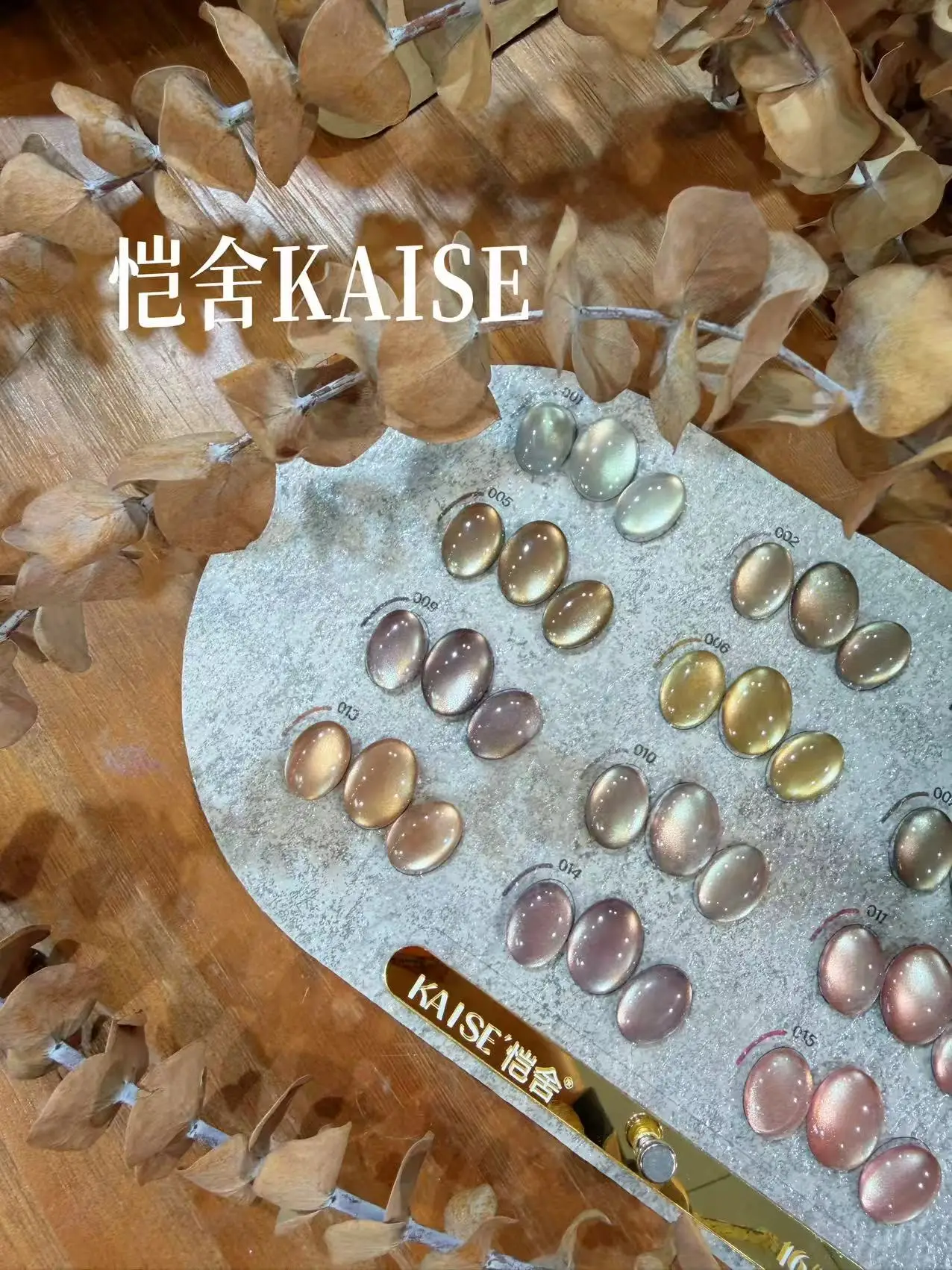KAISE 16 Colors Moonlight Cat Eye Nail Gel Set 2025 New Hot Sale Fashion HEMA-Free TPO-Free Non-toxic UV Gel for Salon Wholesale - view 6