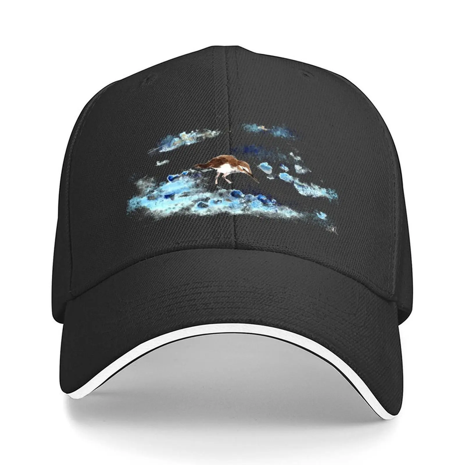 

sand piper Baseball Cap Trucker Hat sun caps black Luxury man cap Boy Child Women's
