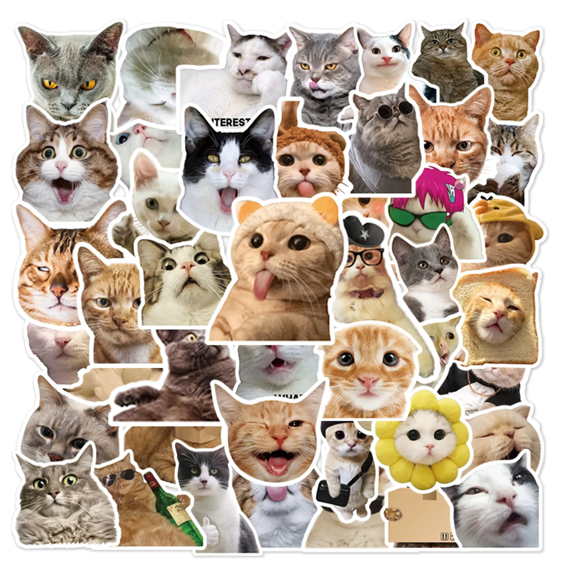 

50Pcs Trendy Cute Cartoon Realistic Cat Stickers Graffiti Cup Interior Decoration DIY Waterproof PVC Sticker