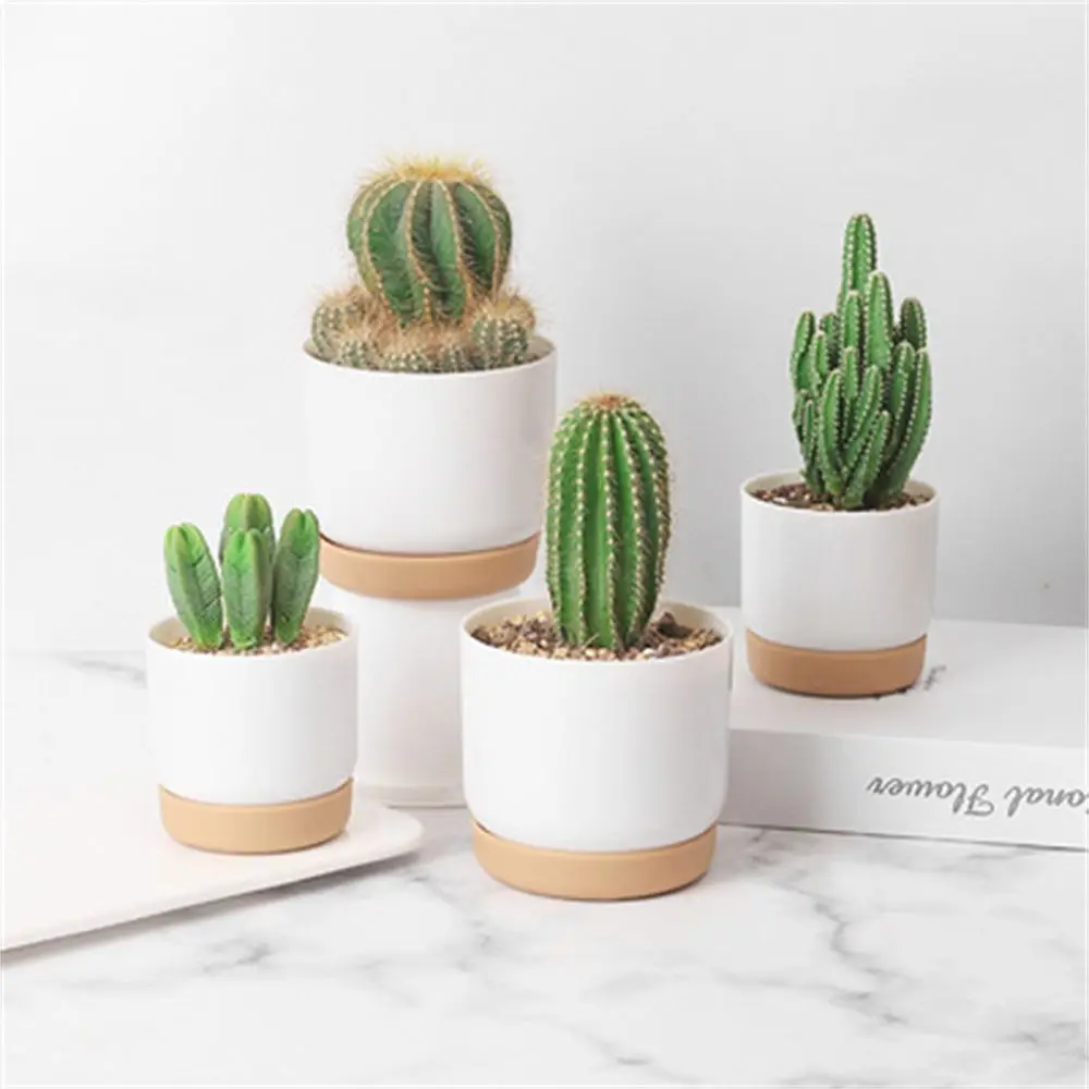 Self Watering Bloempot Automatische Wateropname Opslag Ronde Double-Layer Succulente Planter Pot Kleine Groene Plant Bloempot