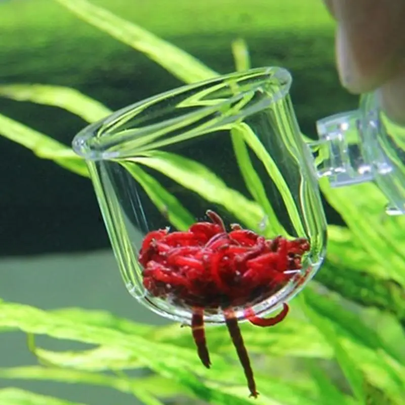 Alimentador de minhoca de sangue para aquário, salmoura, camarão, verme vermelho vivo, copo de alimentação de peixe com costura, copo de planta de vidro para plantas de aquário, camarão vermelho