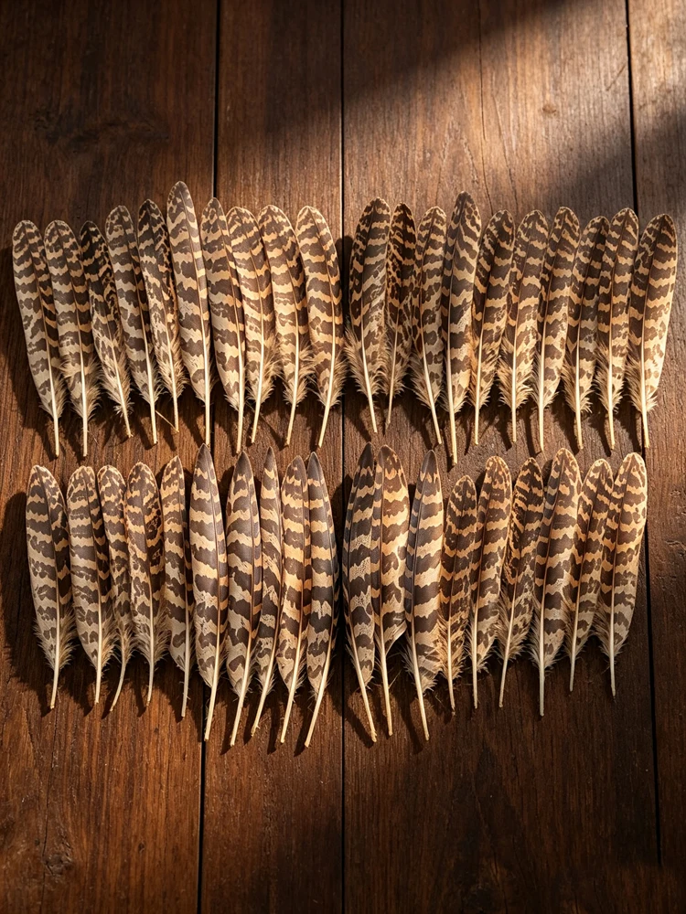 40Pcs Natural Barred Pattern Eagle Feathers, Brown‑Tan Striped Plumage for DIY Crafts, Headdress,Hat Ornament, Costume&Wedding