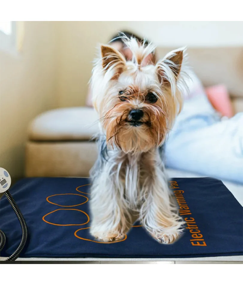 Thumbnail 4 - #42 Dog Sofa Beds List of Top Picks