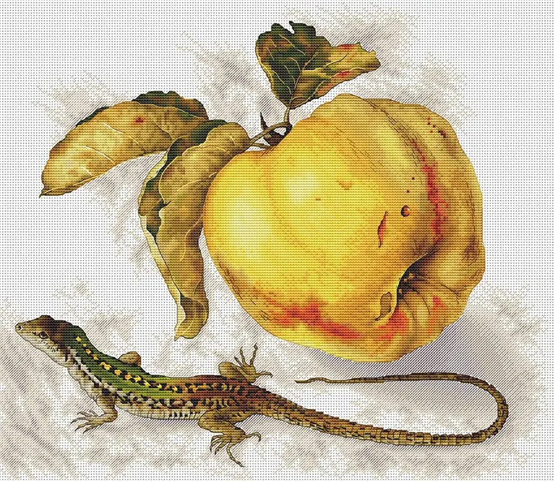 100% Egypt Cotton Threads  Genuine Product Egypt Cross Stitch Kits Suite Riolis Apples And Chameleons 48-43