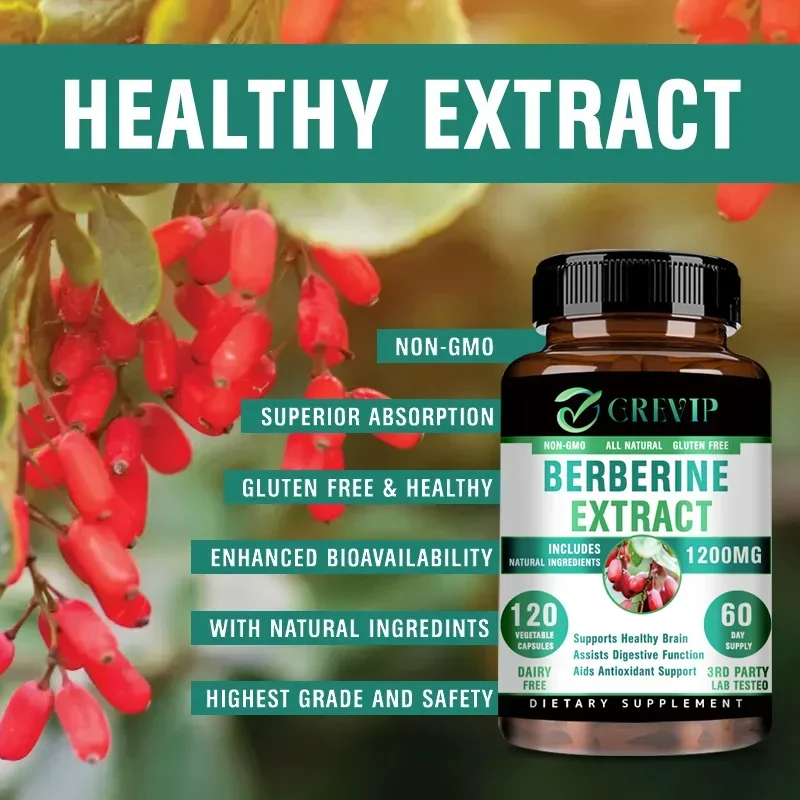 Berberine Extract - Supports Digestive System, Antioxidant, Enhances Cognitive Processes