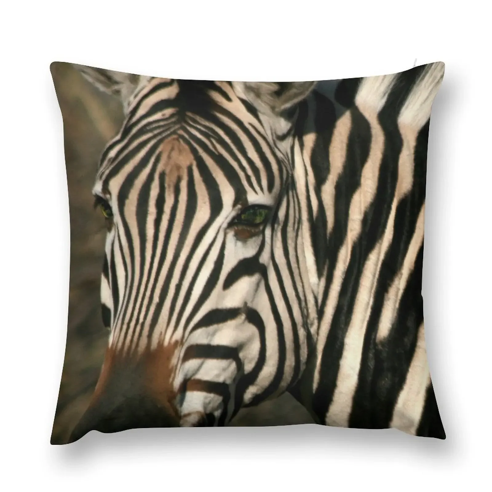 Zebra Close Up on Safari in South Africa. Throw Pillow Elastic Cover For Sofa Couch Cushions pillow