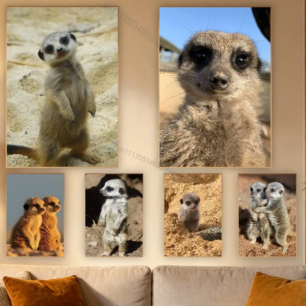 Cute Baby M-Meerkat Retro Fashion Pictorial Poster Sticky Poster Paper Sticker DIY Room Bar Cafe Wall Decor Gift
