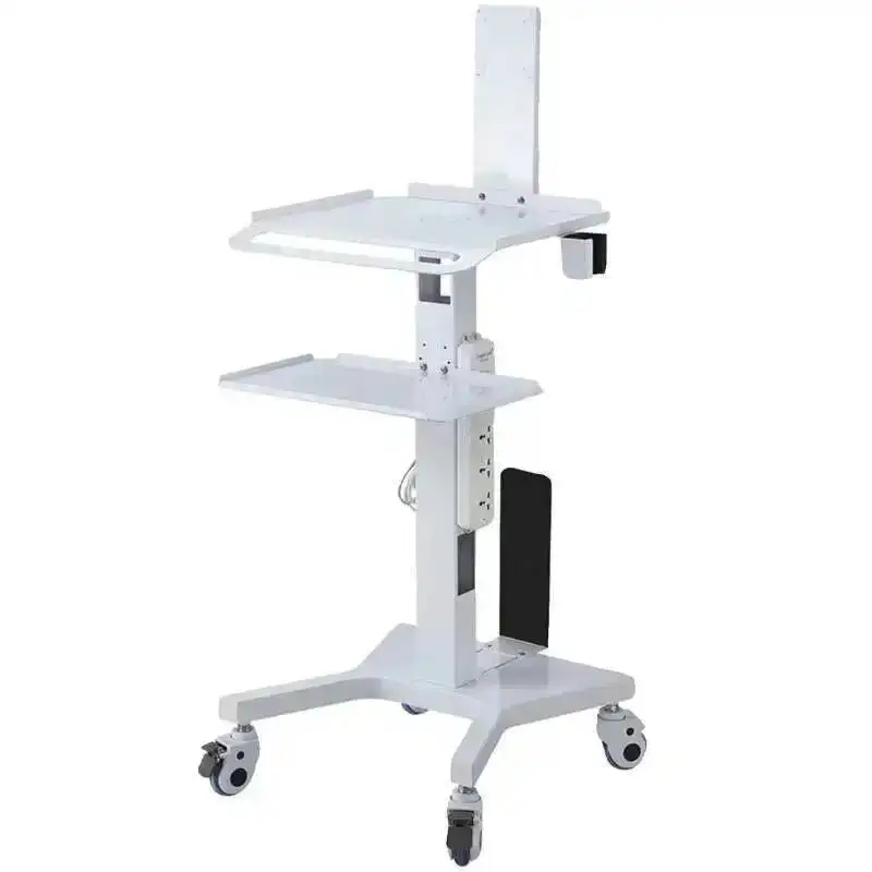 hair spa Beauty salon trolley Large Capacity Trolley Multifunctional Wheels Movement Carritos Organizadores Beauty Salon Cart