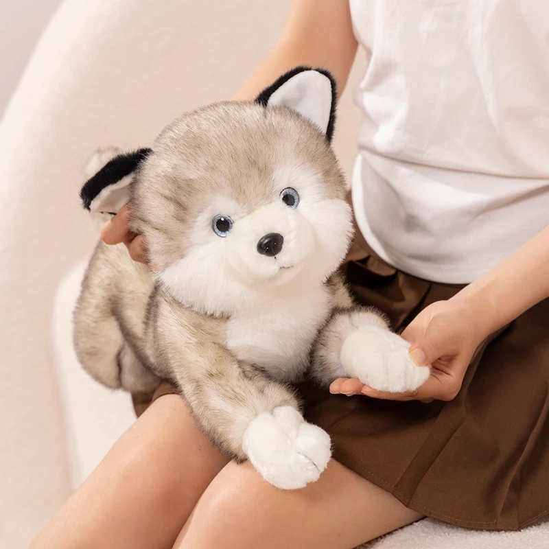 Peluche de la série Dog Butter pour garçons et filles, jouet en peluche réaliste, Shiba Inu, Husky, simulation mignonne, cadeau de Noël et d'anniversaire, haute qualité