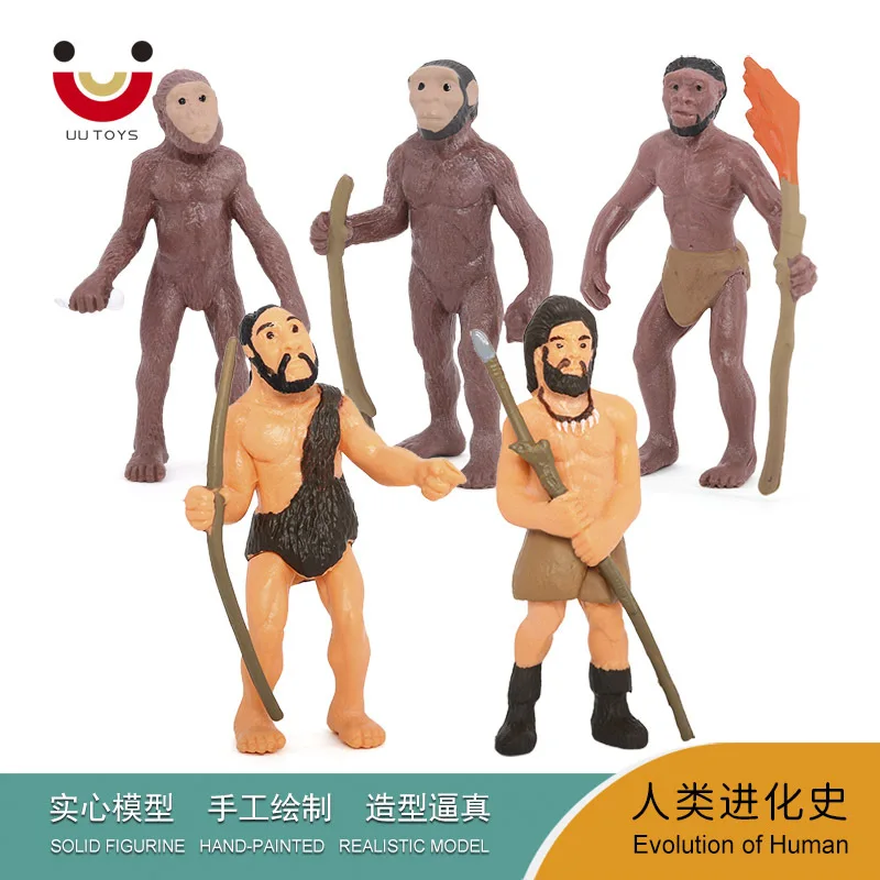 Children's science and education cognition human evolution history model ape man savage primitive man toy puzzle science and edu