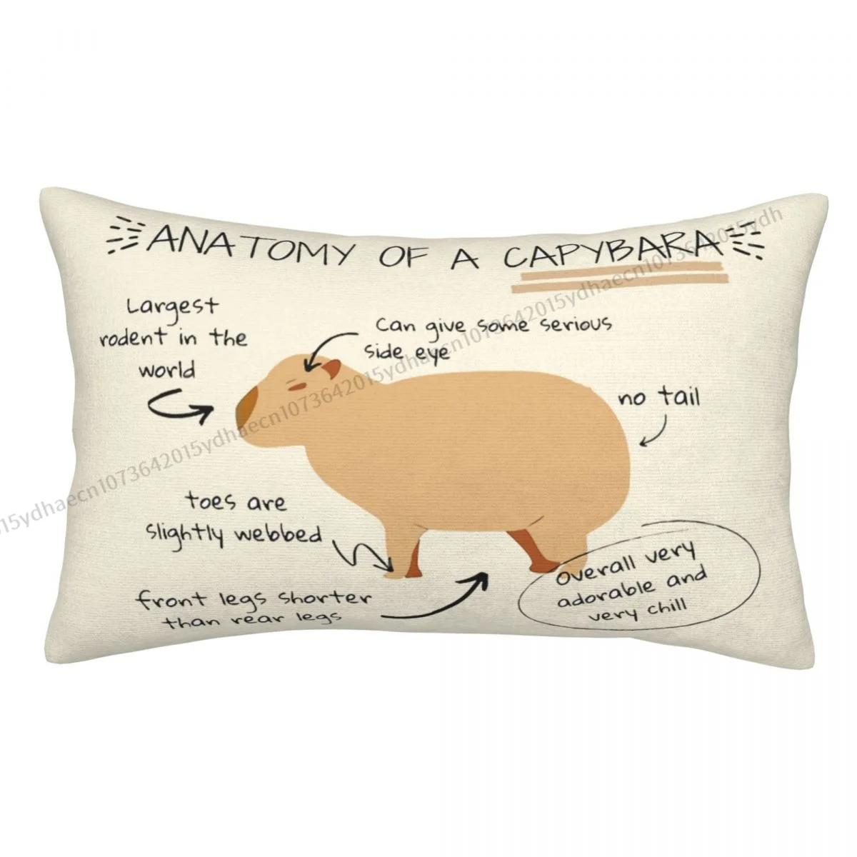 Anatomy Of A Capybara Pillow Case Cushion Covers Home Sofa Chair Decorative Backpack Covers