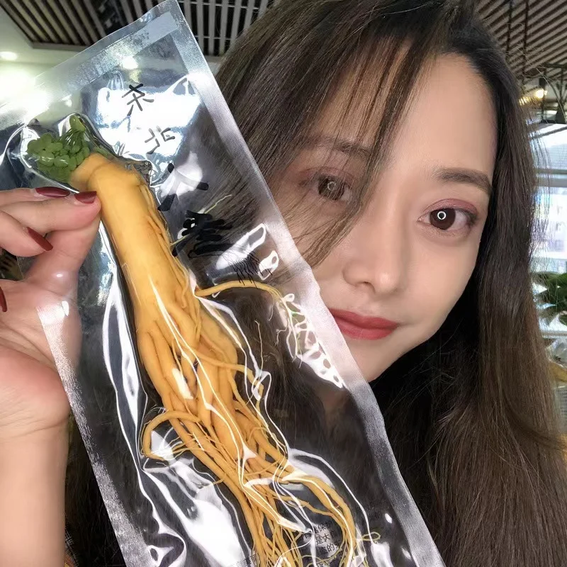 Alta qualidade Changbai Mountain Understory Mountain Ginseng Simulação Modelo de Ginseng Ornamento para Casa