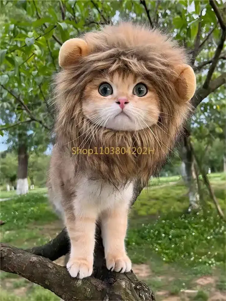 Little Lion Wig Cat Headgear Amazon Hot Sale Dog Funny 2024 New Golden Gradient Golden Retriever