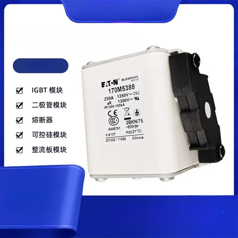 

170M5194 Fast Low Voltage